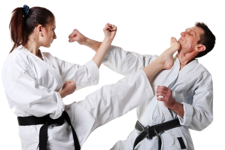 mma karate school