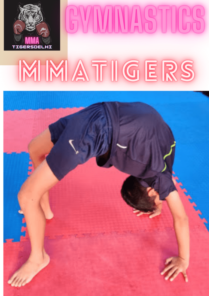 Top Gymnastic Classes For Children in Delhi,mmatigers.com,gopi roy