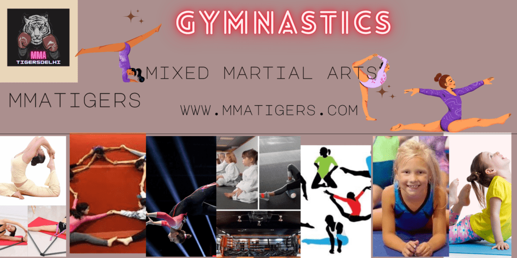 Gymnastics Academy Janakpuri,mmatigersdelhi.com 5 Gymnastic Classes In Delhi NCR ,