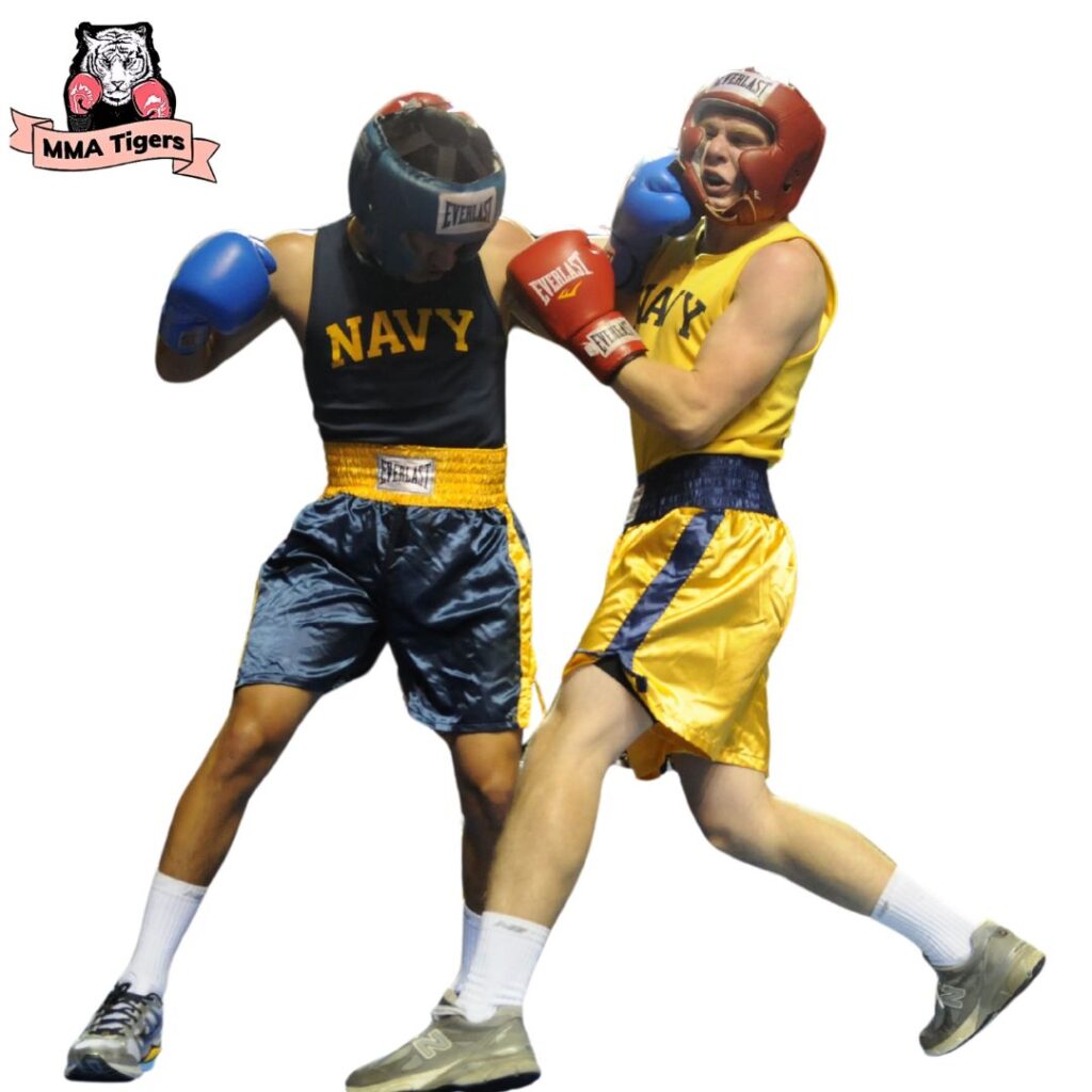 Mmatigers mixed martial arts fitness classes center near me Delhi