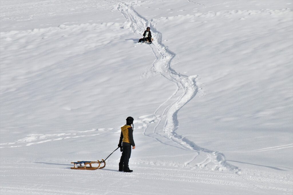 white, snow, sled-6894057.jpg