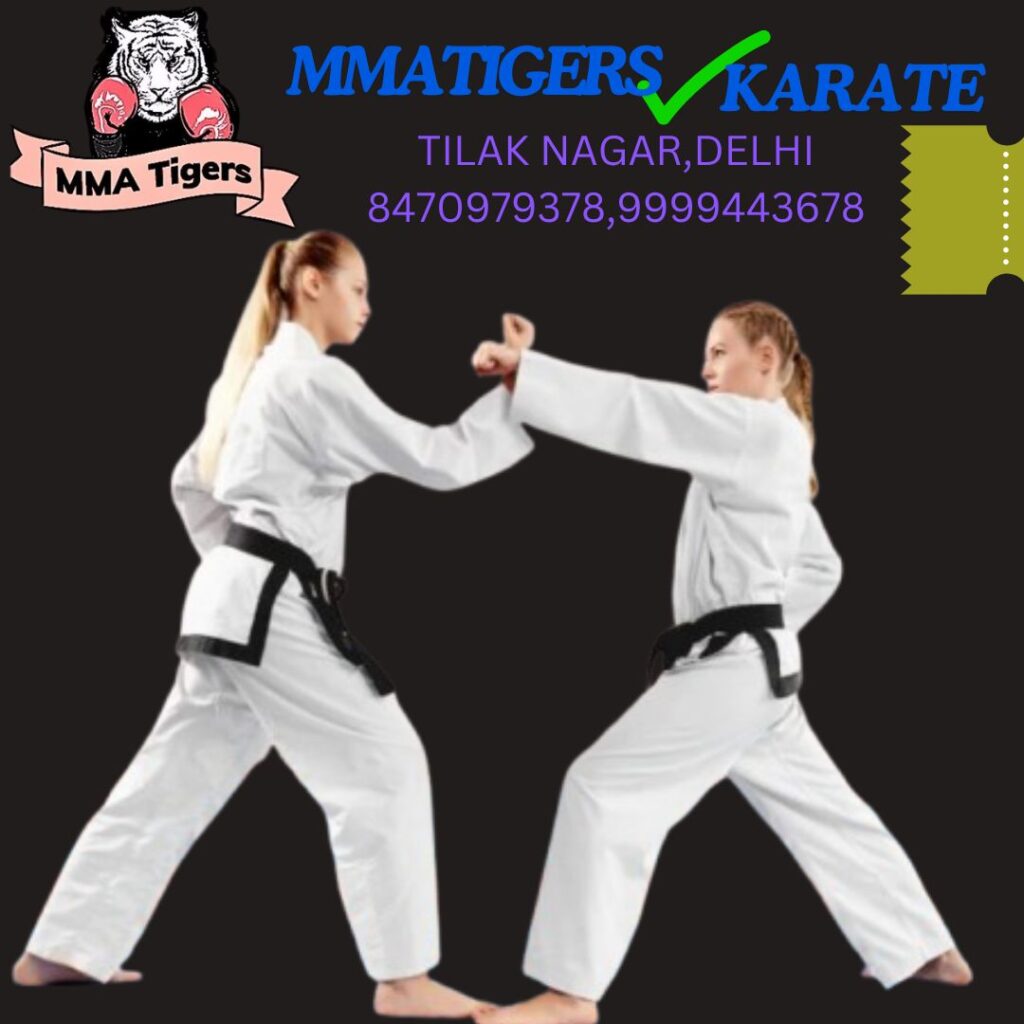 mmatigersdelhi.com