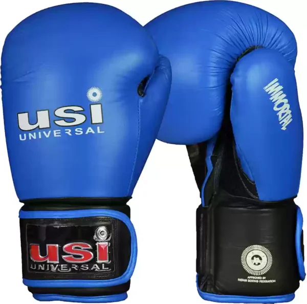 Boxing glaves mma tigers MARTIAL ARTS BOXING KICK-BOXING MUTHAI KARATE GYMNASTICS CLASSES NEAR TILAK NAGAR DELHI.