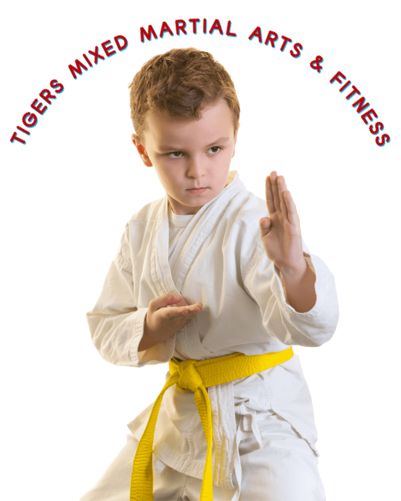 Karate Classes Delhi In India- Mma Tigers.